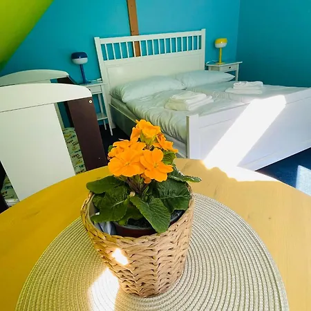 Rodinny Bavlnka Guest house *