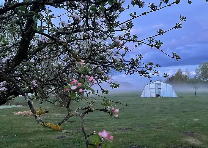 Rodinny Bavlnka بيت ضيافة Dvory nad Luznici